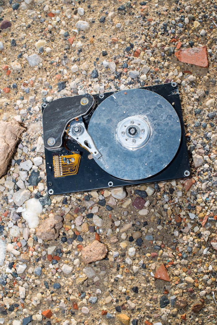 Home pexels photo 29393244.jpeg